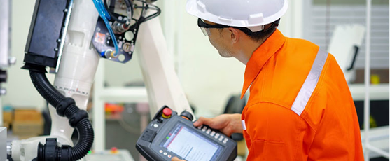 Great Expectations for Industry 4.0